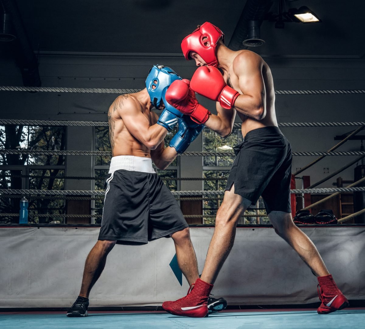Two muscular boxers have a competition on the ring, they are wearing helmets and gloves.
